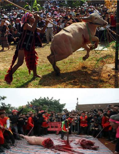 chuyen - Lễ hội, tín ngưỡng và chuyện bát nháo thời sản mạt Damtrauchemlon